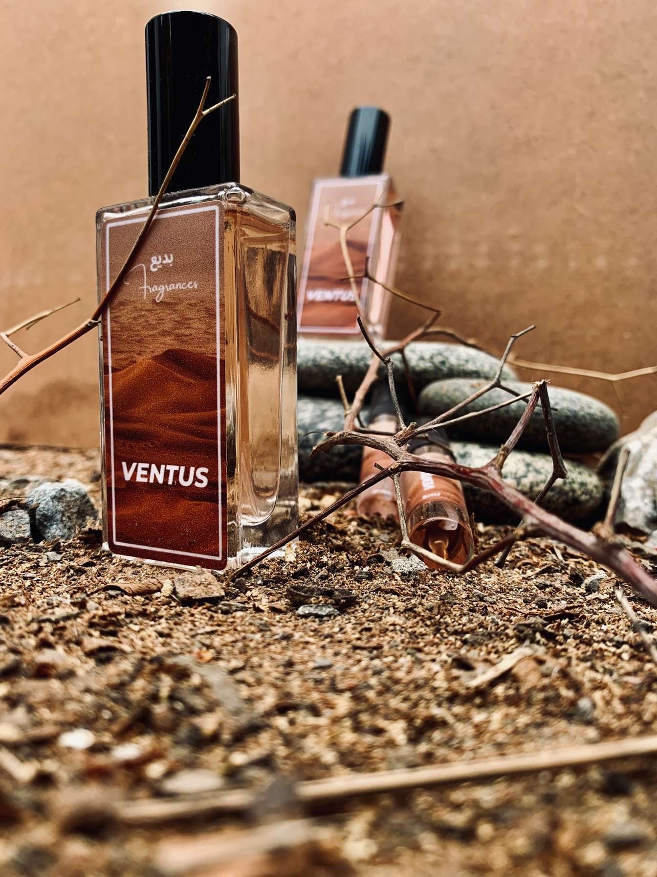 VENTUS (E.D PERFUME)