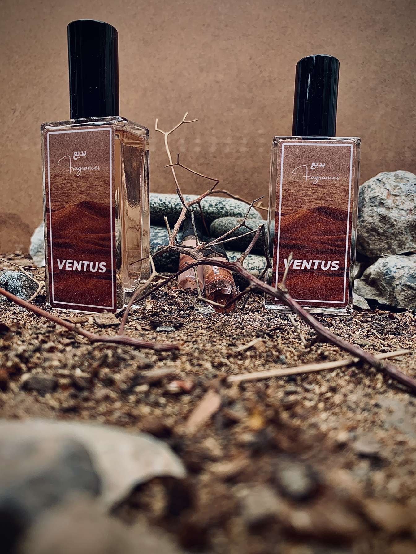 VENTUS (E.D PERFUME)